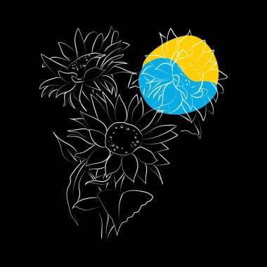 Ayçiçeğinin ana hatları, vektör illüstrasyonu