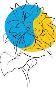 Ayçiçeğinin ana hatları, vektör illüstrasyonu