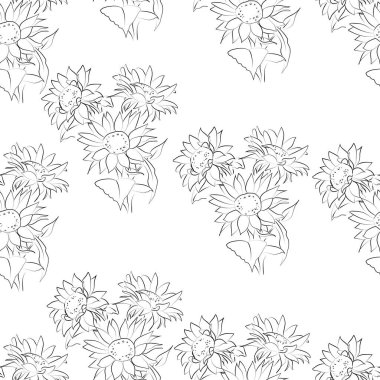 Ayçiçeğinin ana hatları, vektör illüstrasyonu