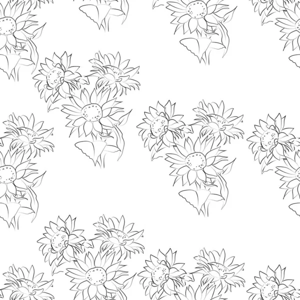 Ayçiçeğinin ana hatları, vektör illüstrasyonu