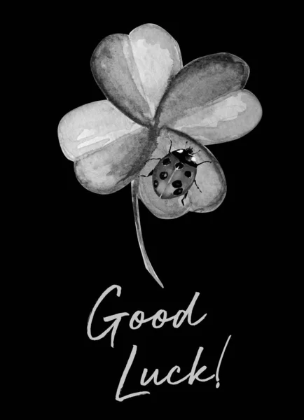 Καλή Τύχη Όμορφο Φυτό Τριφύλλι Πασχαλίτσα Ακουαρέλα Εικονογράφηση — Φωτογραφία Αρχείου