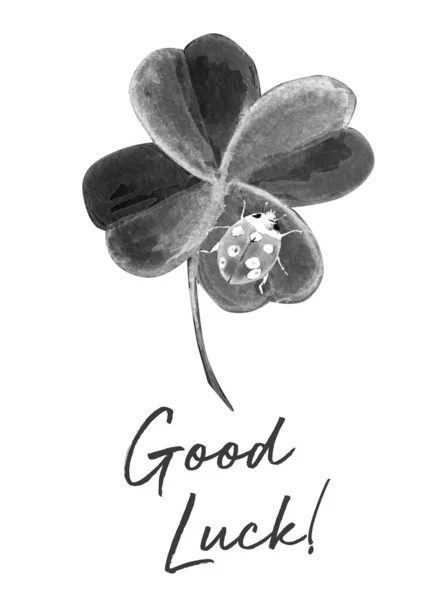 Καλή Τύχη Όμορφο Φυτό Τριφύλλι Πασχαλίτσα Ακουαρέλα Εικονογράφηση — Φωτογραφία Αρχείου