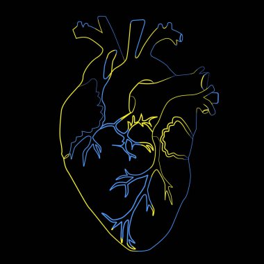 Kalp çizimi, vektör illüstrasyonu