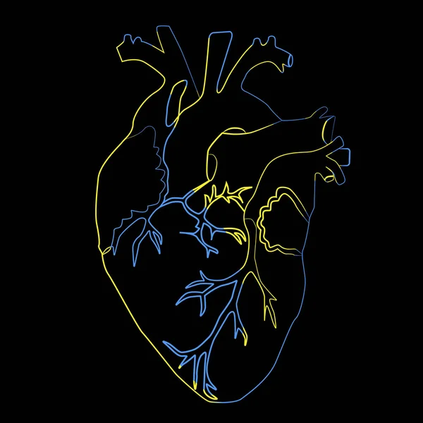 Linienzeichnung Des Herzens Vektorillustration — Stockvektor