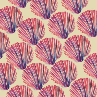 Deniz kabuğu çizim sanatının suluboya çizimi.