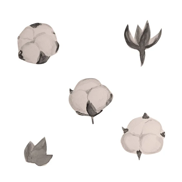 Ручной Рисунок Акварелью Хлопкового Растения Иллюстрации — стоковое фото