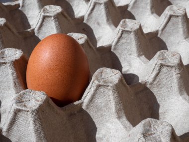 Yumurta kutusundaki kahverengi tavuk yumurtasına yakın plan.