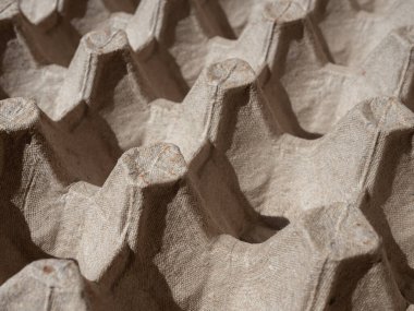 Panel yumurtaları. Boş kağıt yumurta tepsisi, yumurta kutusu.