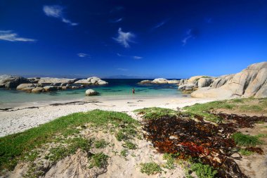 Boulders Sahili, Simon Kasabası, Cape Town, Güney Afrika yakınlarında.