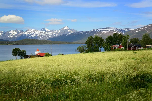 Summer Scene Northern Norway Tromso 200 Miles Arctic Circle —  Fotos de Stock