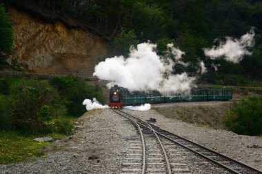 Tren del Fin del Mundo, Güney Fuegian Demiryolu üzerinde, dünyanın en güneydeki demiryolu, Tierra del Fuego, Arjantin