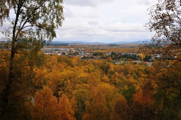 Morze Jesiennego Koloru Okolicach Aviemore Szkocja — Zdjęcie stockowe