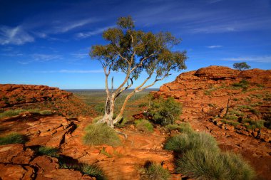 The vast Australian Outback, viewed here from Kings Canyon in the Northern Territory