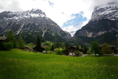 İsviçre 'nin Grindelwald kenti yakınlarındaki İsviçre Alplerinde manzaralı bir Alp manzarası.