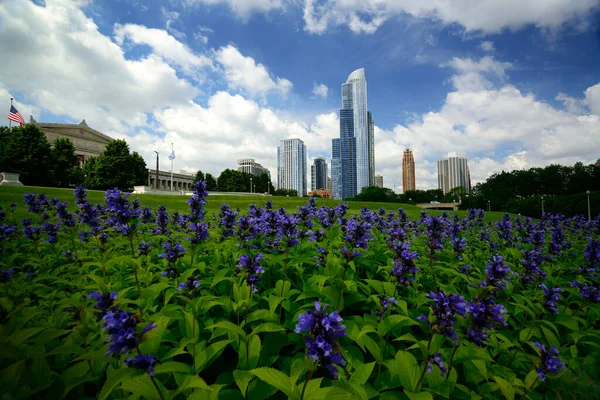 伊利诺伊州芝加哥市中心的一个花园 — 图库照片