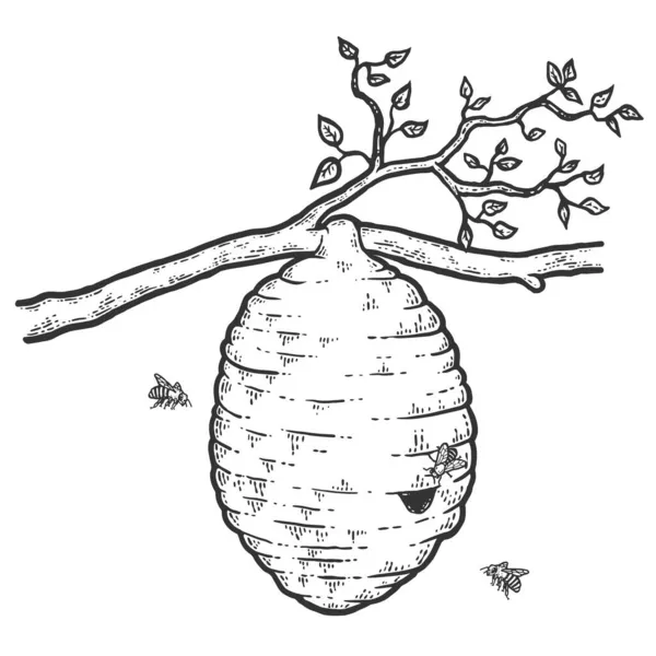 Colmena de abejas silvestres en un árbol. Boceto imitación tablero de rasca. — Vector de stock