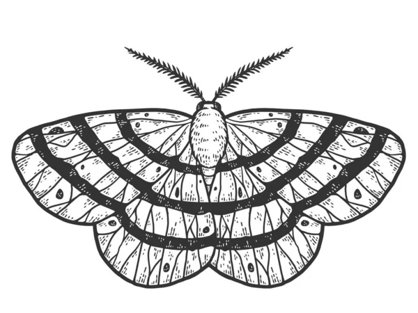 Insecto volador, polilla. Imitación del sketch scratch board. Blanco y negro. — Foto de Stock