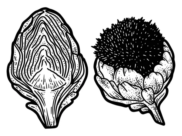 Handgetekende artisjok. Artisjokken doodle schets, eetbare cynara bloem knop inkt krabbel. — Stockfoto
