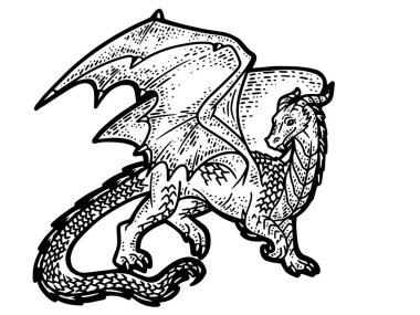 Kanatlı ejderha, efsanevi hayvan. Çizgi çizimi resmi. El çizimi.