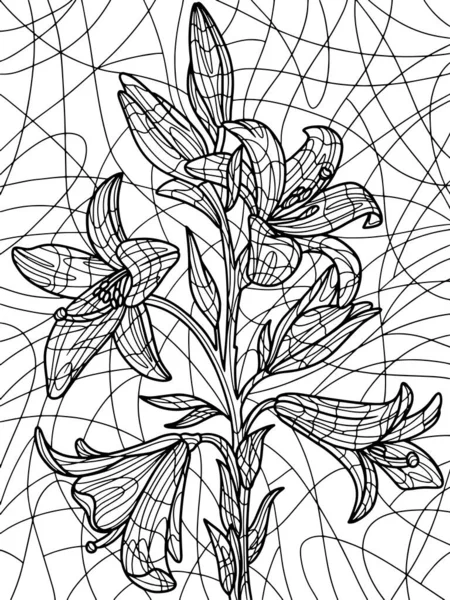 Flowers lilium. Coloring book antistress for children and adults. Zen-tangle style. — ストック写真