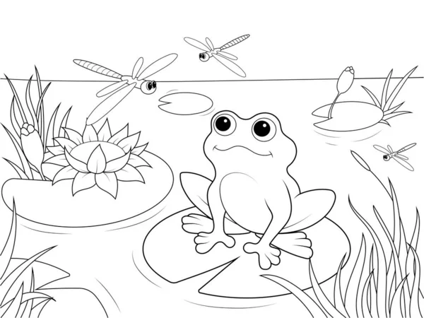 湿地景观与动物着色书籍的成人栅格插图.黑白相间的线虫、青蛙、手杖、蜻蜓、鱼、百合花、水斑自然 — 图库照片