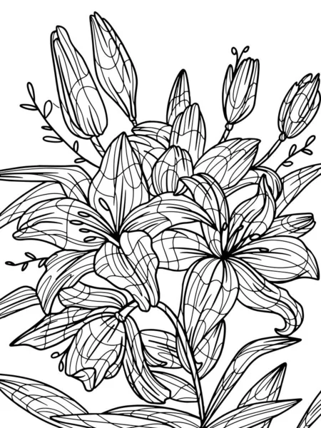 Flowers lilium isolated object. Coloring book antistress for children and adults. Zen-tangle style. — Vector de stock