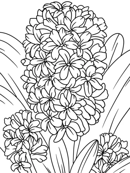 Malbuch Blumen, Hyazinthen. Schwarzer Strich, weißer Hintergrund. — Stockvektor