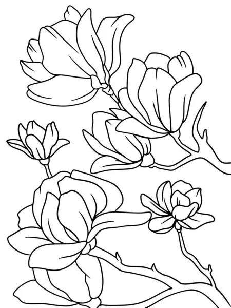 Coloring book flowers, magnolia. Black stroke, white background. — Stock vektor