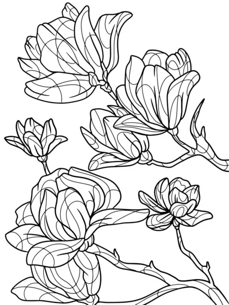 색칠 책의 꽃들은 따로 떨어져 있고, 마뇰 리아. 흑색 뇌졸중, 흰 배경. — 스톡 사진