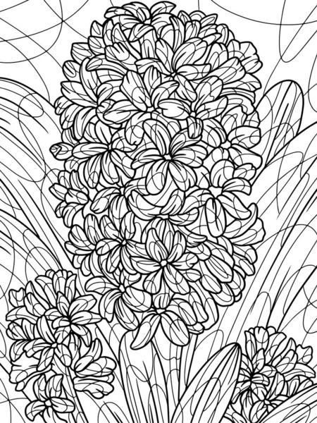 Coloring book flowers, hyacinthus. Black stroke, white background. — Stok fotoğraf
