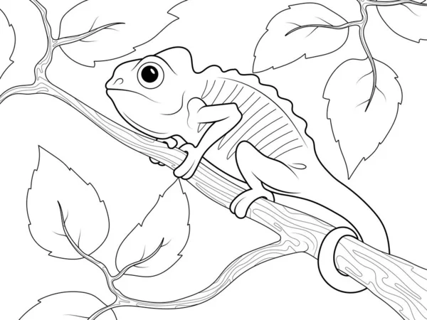 Chameleon on a tree branch. Page outline of cartoon. Raster illustration, coloring book for kids.