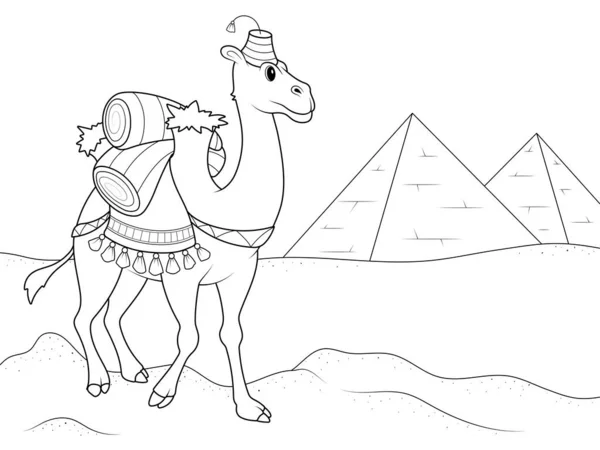 Καμήλα Μεταφέρει Φορτίο Μέσω Της Αιγυπτιακής Ερήμου Σελίδα Περίγραμμα Των — Φωτογραφία Αρχείου