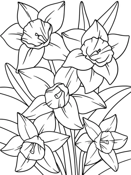 Narcissus flower, plant. Flower outline. Raster illustration. Page outline of cartoon.