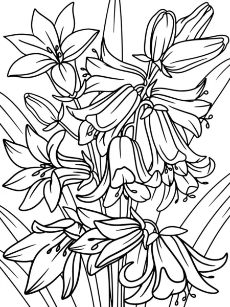 Campanula Blåklocka Blomma Växt Blomsterskiss Vektorillustration Sidöversikt Över Tecknad Film — Stock vektor