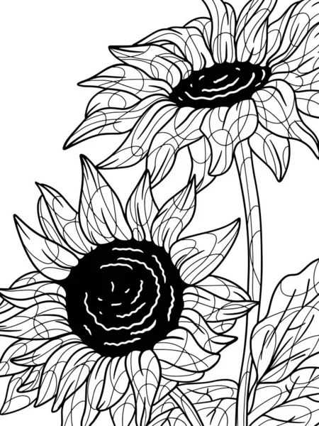 Coloring sunflower, plant. Flower outline. Page outline of cartoon. Raster illustration, coloring book for kids. Zen-tangle style. Hand draw