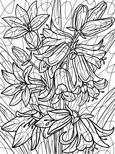 Campanula Kwiat Bluebell Roślina Pełna Strona Domowa Roślina Dużymi Liśćmi — Zdjęcie stockowe
