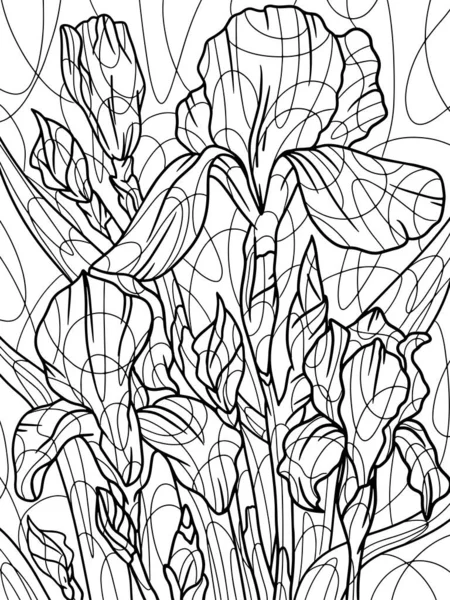 Irisblüte Pflanze Ganze Seite Heimische Pflanze Mit Großen Blättern Seitenumriss — Stockfoto