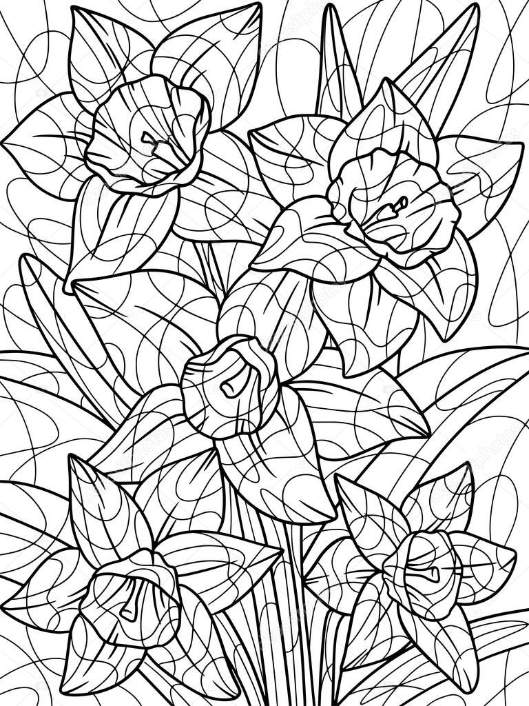 Narcissus flower, plant full page. Home plant with large leaves. Page outline of cartoon. Raster illustration, coloring book for kids. Zen-tangle style. Hand draw