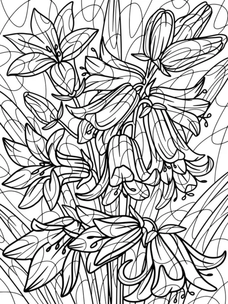 Campanula Kwiat Bluebell Roślina Pełna Strona Domowa Roślina Dużymi Liśćmi — Wektor stockowy
