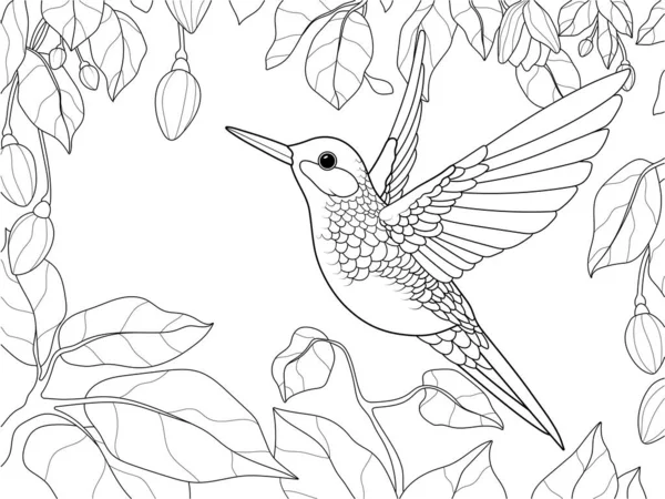 Pássaro Beija Flor Num Jardim Florescente Ilustração Vetorial Página Para — Vetor de Stock