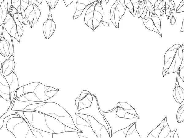 Рамка Цветов Листьев Натуральный Повязка Растения Книга Раскраска Растровых Иллюстраций — стоковое фото