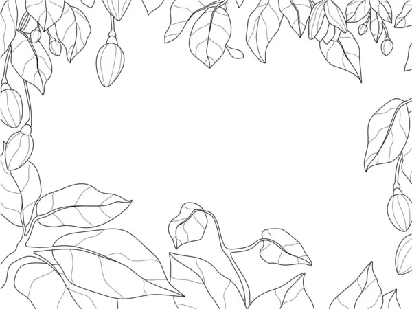 Rámeček Květin Listí Přirozená Čelenka Rostliny Kniha Zbarvení Vektorových Ilustrací — Stockový vektor