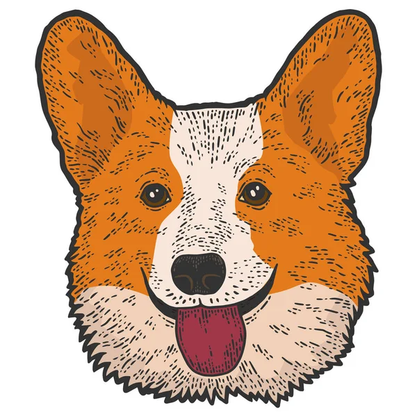 Hundekopf Corgi Skizzieren Sie Scratch Board Imitation Farbraster Illustration — Stockfoto