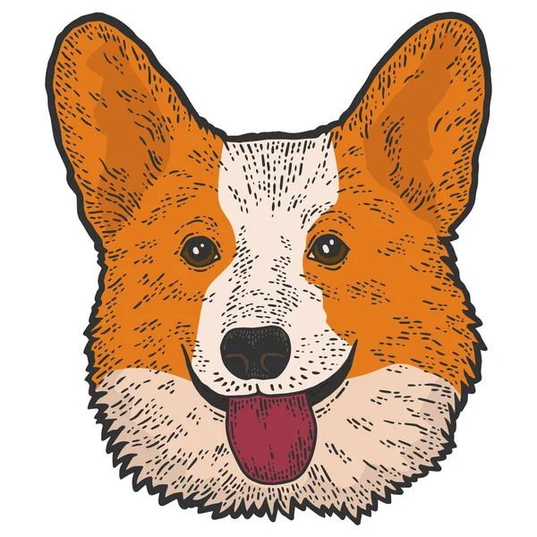 Dog Head Corgi Sketch Scratch Board Imitation Color Vector Illustration — Image vectorielle