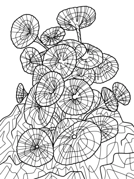 Padina Pavonica Seaweed Isolated Freehand Sketch Adult Antistress Coloring Page — 图库照片