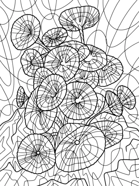 Padina Pavonica Seaweed Freehand Sketch Adult Antistress Coloring Page Doodle — Foto de Stock