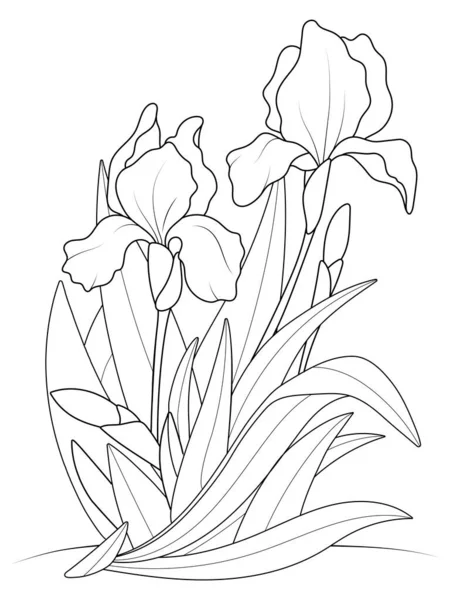 Flores Iris Creciendo Arbusto Libro Para Colorear Ilustración Vectorial — Vector de stock