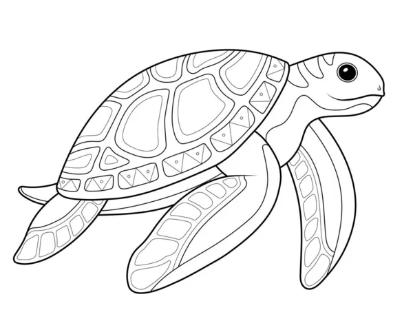 Θαλάσσιο Ζώο Χελώνα Χρωματισμός Βιβλίο Διανυσματικά Παιδιά Εικονογράφηση — Διανυσματικό Αρχείο