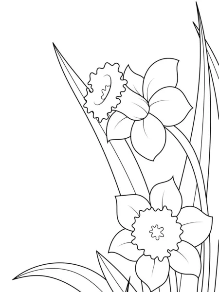 Narcissus Gatblommor Vårbusken Målarbok Vektor — Stock vektor