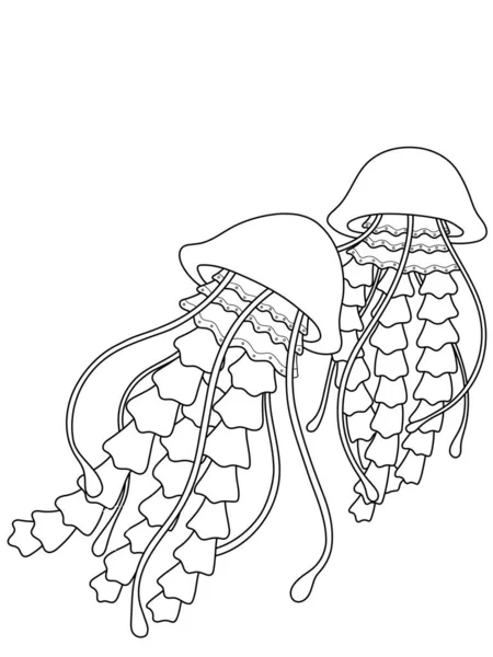 海洋动物水母 这对夫妇孤身一人游泳 彩色书 光栅儿童插图 — 图库照片